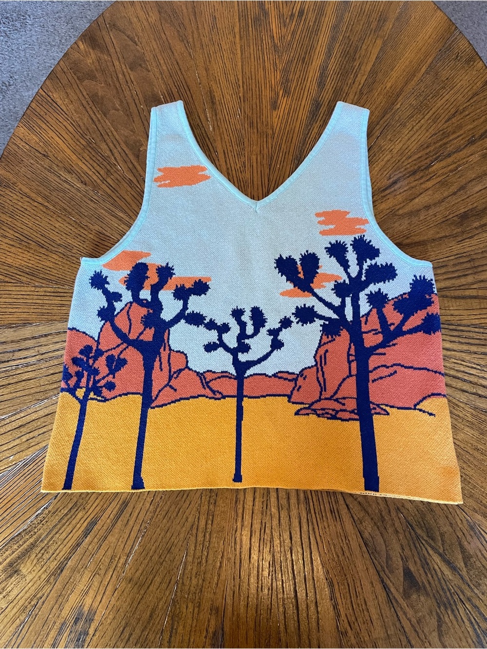 Weber’s Resupply Scenic Desert Knit Tank Top - Multicolor
